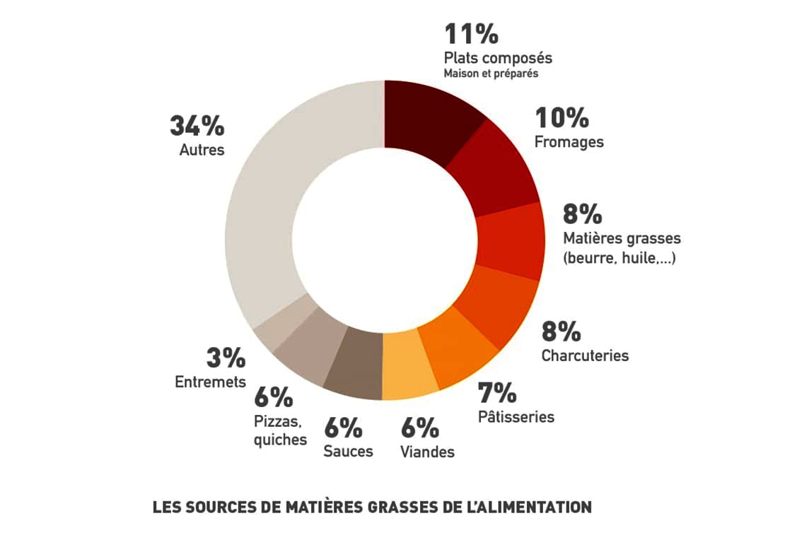 lessourcesdematieresgrassesdelalimentation