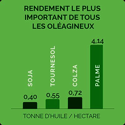 rendementleplusimportantdetouslesoleagineux